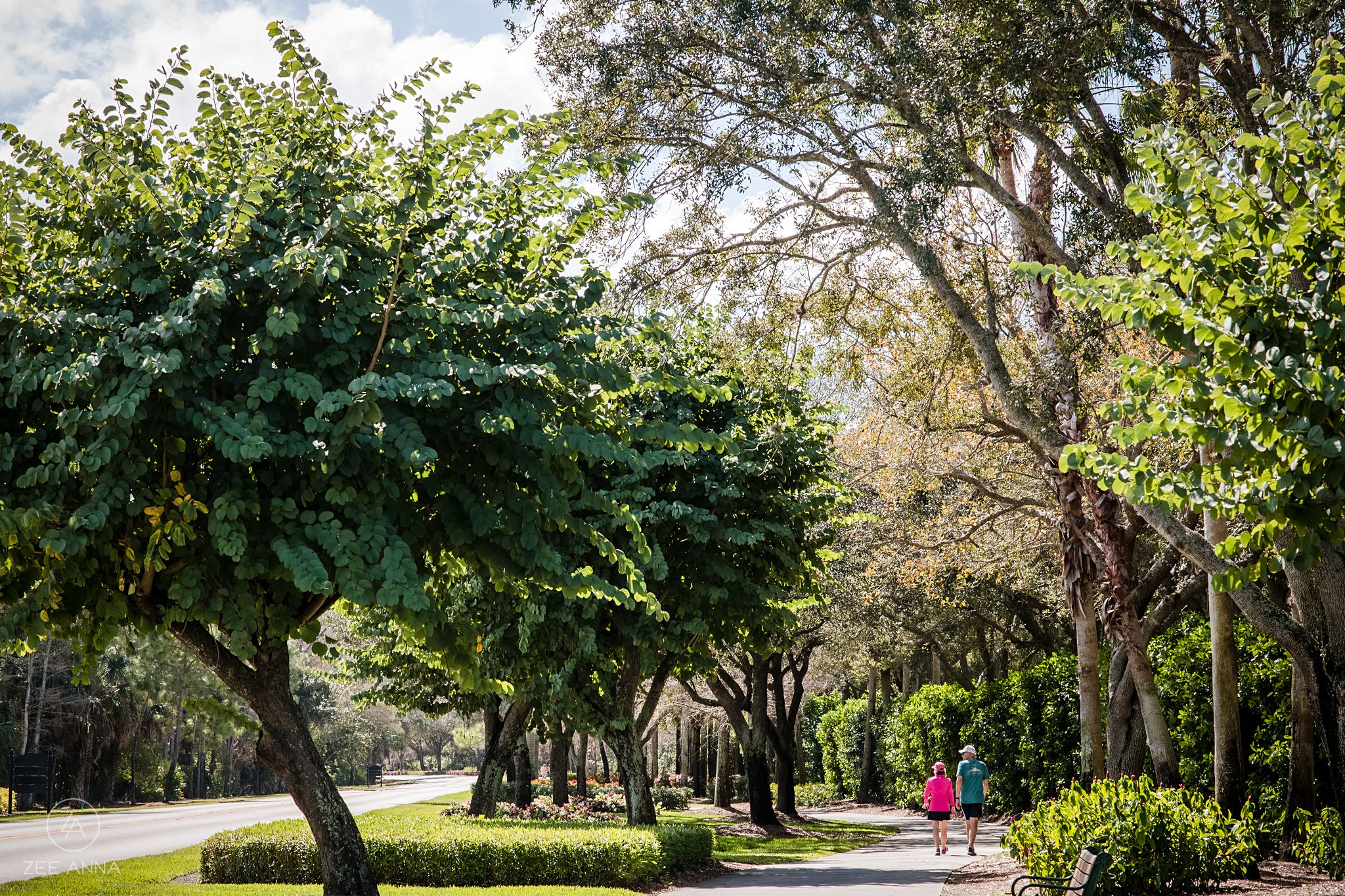 Cypress Woods Walking Path